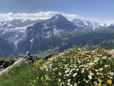 2019年6~7月グリンデルワルト④フィルスト~バッハアルプゼー~ブスアルプ 7/2(火)