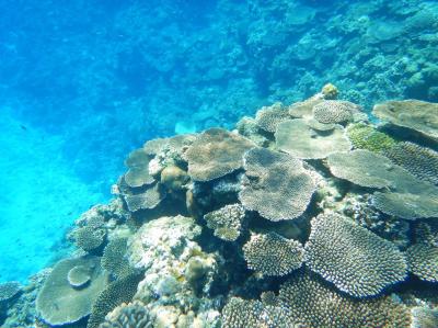 海のトラブルを可能な限り回避するために