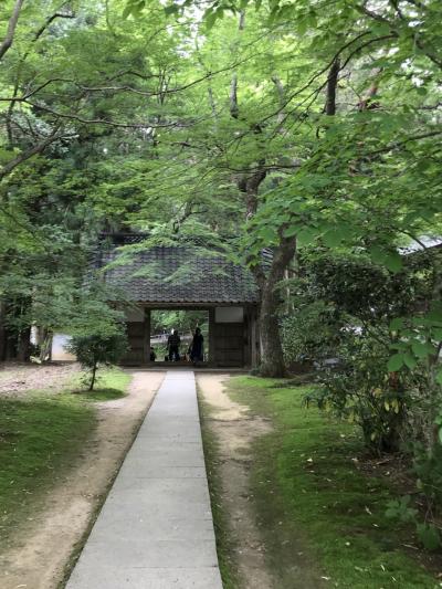 ７日間で東北6県ベストハイライトの旅③岩手県