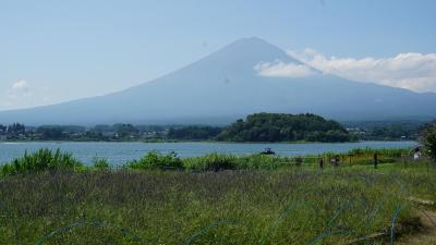 ２０１９年８月富士山を巡る気ままな夫婦二人旅　２．甲府から富士五湖周遊バス旅