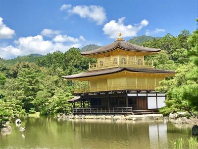 2019年8月 京都散歩その3【2日目】下鴨神社～金閣寺～龍安寺～仁和寺