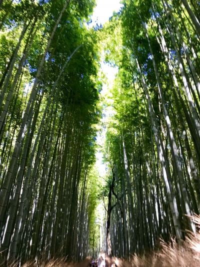 2019年8月 京都散歩その4【2日目】嵐山～本能寺～湯葉すくい