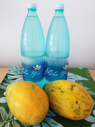 のんびりハワイ２０１９夏