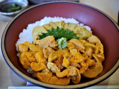 ♪北へ～、南へ～、東へ、西へ～～♪うに丼を食べる為に行きました、北海道旅！完