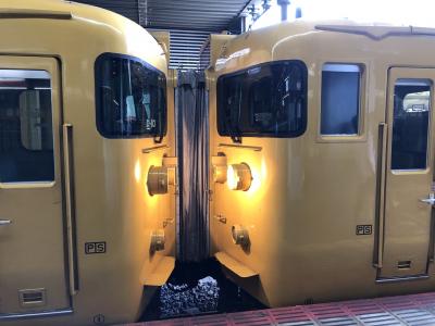 2019夏 青春18きっぷ 岡山は国鉄型車両のパラダイス