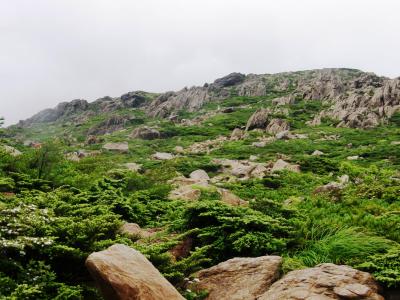 今年の夏山は東北の岩手山・早池峰山に挑戦・・・ 3ー早池峰山登頂目指して「#夏旅2019」