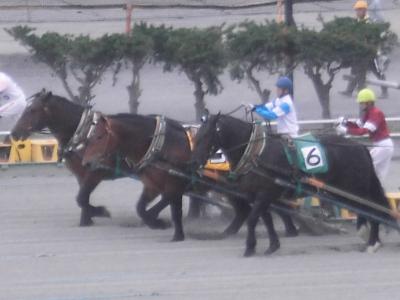 ムツゴロウ　競馬三昧その１　帯広競馬場編