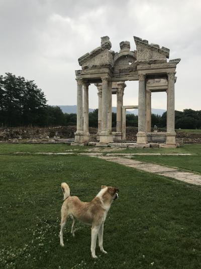 2019★トルコ10日間②/エフェソス遺跡→アフロディシアス遺跡→パムッカレ泊