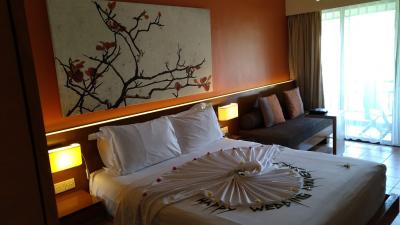 ビジネスで行くビンタン島&Singapore。Angsanaに着いた①