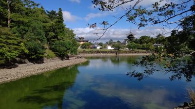 真夏の奈良大和四寺めぐり