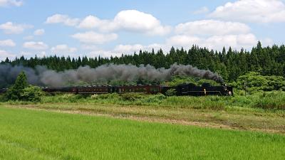 2019年8月旅　夏の会津と新潟花火の旅（1～2日目：福島会津編～一流の田舎へ～）