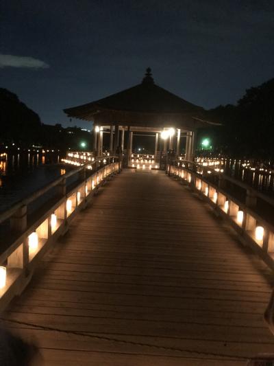 奈良県 ～2019年 なら燈花会の旅～お昼編