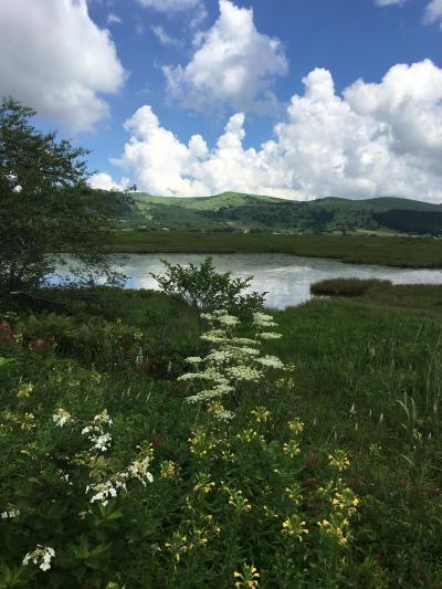 夏の信州旅行①（霧ヶ峰外周満喫コース）