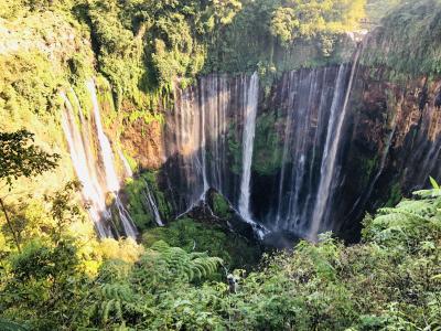 スラバヤ発着　インドネシア・ジャワ島　絶景の旅　４日目