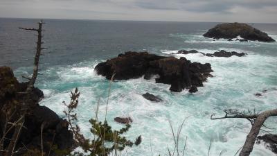 気仙沼大島・龍舞岬