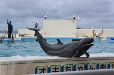 カヌチャリゾート＆ハイアットリージェンシー那覇に泊まる沖縄旅行2日目（美ら海水族館→レストランふりっぱー）