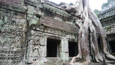 アンコールワット遺跡巡り旅行　その２（アンコールワット日の出、バンテアイ・スレイ 、タ・プローム）