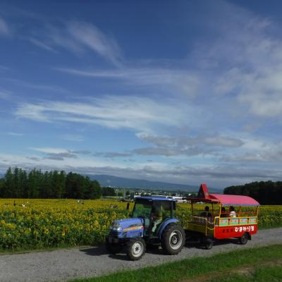 2019夏・北海道行商旅・北海きたえーる夏祭り・北竜のひまわり畑