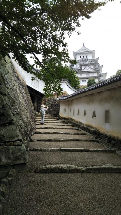 兵庫県城巡り