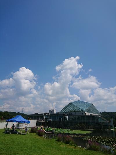 ディスカバー栃木★なかがわ水遊園からの蕎麦&amp;温泉♪