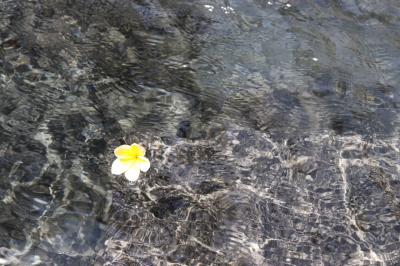 ゆったりまったりと。2度目のバリ島。5日目～9日目、帰国日までカユマニスジンバラン編①