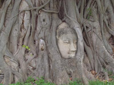 タイ~カンボジア4泊6日息子との二人旅行 アユタヤ編