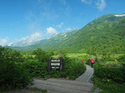 花の名山　白馬岳登山旅行　その5栂池ヒュッテ宿泊＆栂池自然園散策編