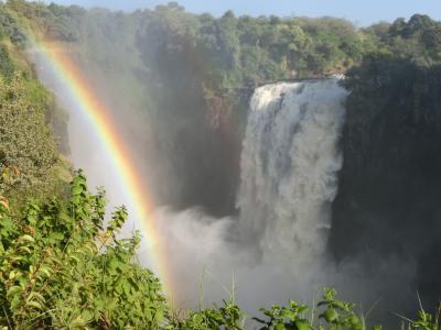 2019年GW アフリカ ビクトリアの滝とサファリ、ケープタウン訪問(その4)