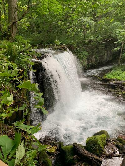 青森☆奥入瀬から十和田湖への旅～二泊三日