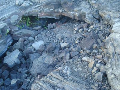 ハワイ島に直行便で行ってみた。キラウェア火山の溶岩台地でお弁当を食べる!