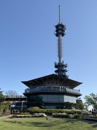 日本平夢テラスとおいしい静岡の旅