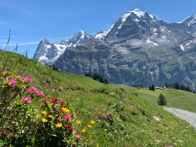 2019年6~7月グリンデルワルト⑦ミューレン~アルメントフーベル~ミューレン 7/5(金)