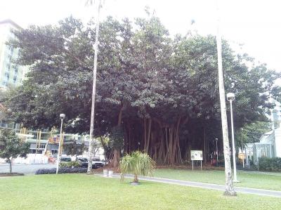 おひとりさま in Cairns2019 ① 準備手配編