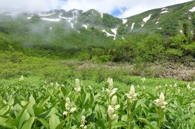 信州長期滞在スローライフの旅、完結編。高山植物の宝庫、栂池自然園ハイキングと大王わさび農園編