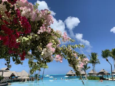 ボラボラ島に関する旅行記 ブログ フォートラベル タヒチ Borabora Island