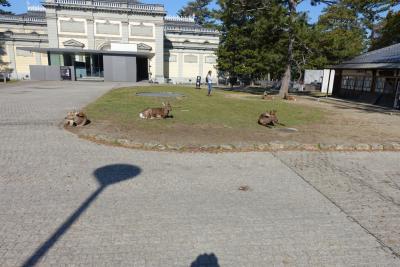 誕生日 奈良・京都旅行