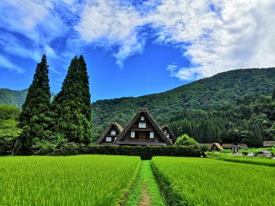 夏休み家族旅行二日目（白川郷・天空の楽園 日本一の星空ツアー編）