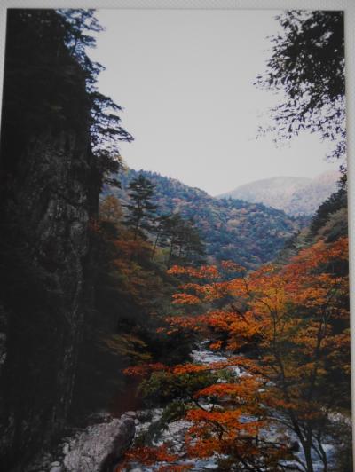 【広島】紅葉の三段峡へ行ってみた