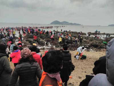 長年の夢・韓国モーゼの奇跡珍島海割れを見に行こう！