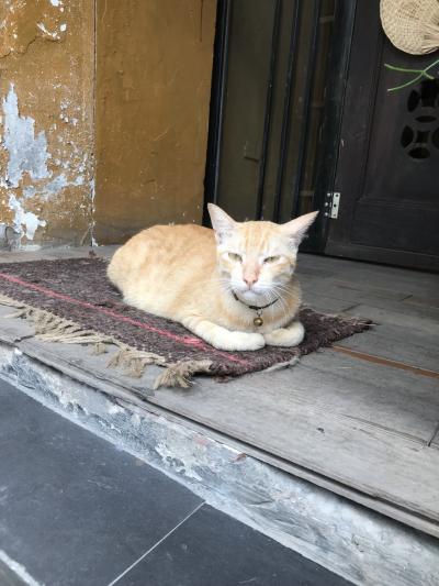 社員旅行でベトナム・ハノイに行く【東京から3泊4日・4日目】