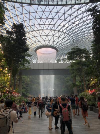 マー様に会いに!シンガポールの旅2019その1~出発から、オーチャード散策~