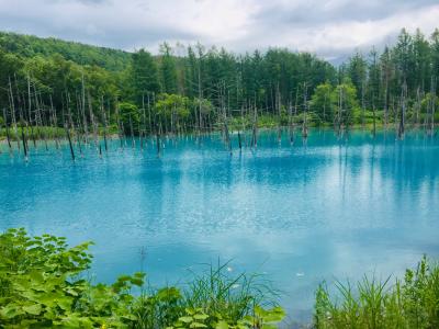 夏休み家族旅行:北海道トマム