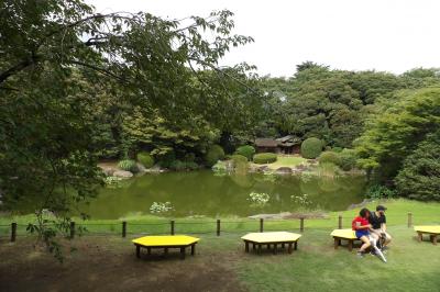 通年公開が検討されているという日本庭園
