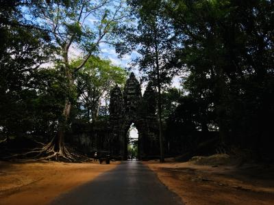 神秘のカンボジア  でも遺跡だけじゃない！