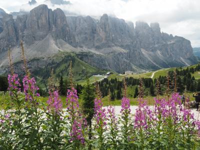 2019夏休み ドロミテ・オルティセイでチョイ住み旅(6)チャンピノイ//ダンテルチェーピエス (Dantercepies)からガルディナ峠