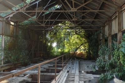 ナウル全盛期の名残の工場廃墟と残された旧日本軍の戦争遺跡を散策