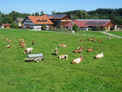 2019夏、27歳女ドイツ鉄道一人旅①~1日目:台風で往路便がキャンセルに!波乱ばかりの出国編~
