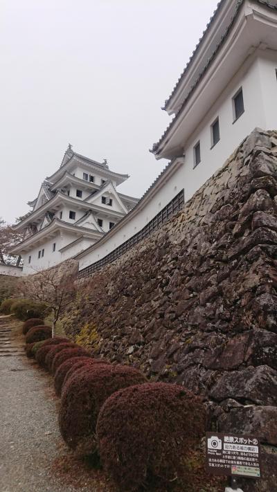 (日帰り)大垣城→郡上八幡城へＧＯの旅。