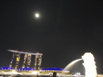 願ったり　叶ったり　シンガポール　3日目（セントーサ島、サルタンモスク、綺麗な夜景）