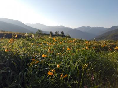 北アルプスの夏休み_5（太郎平小屋～折立下山）